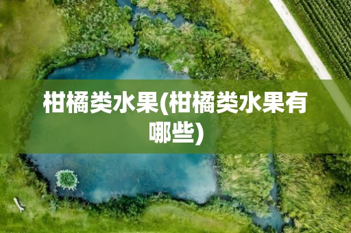 柑橘类水果(柑橘类水果有哪些)