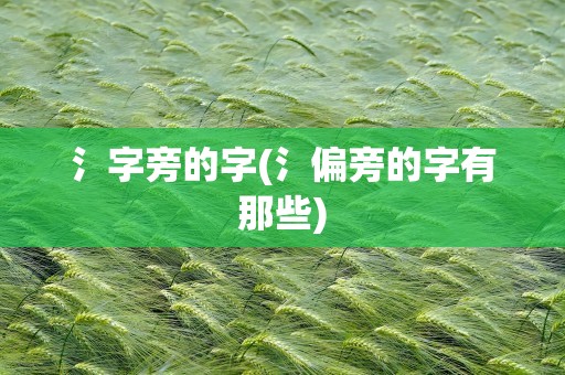 氵字旁的字(氵偏旁的字有那些)