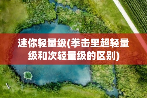 迷你轻量级(拳击里超轻量级和次轻量级的区别)