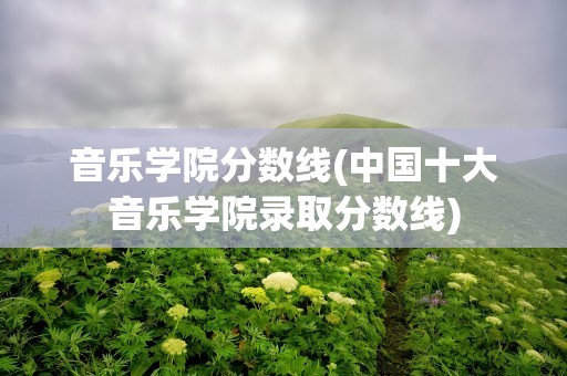 音乐学院分数线(中国十大音乐学院录取分数线)