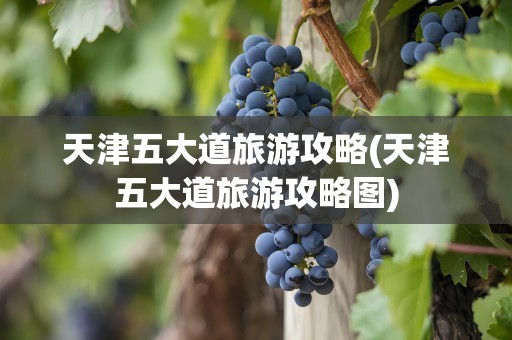 天津五大道旅游攻略(天津五大道旅游攻略图)