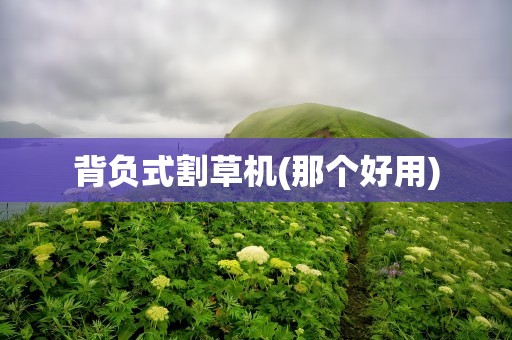 背负式割草机(那个好用)