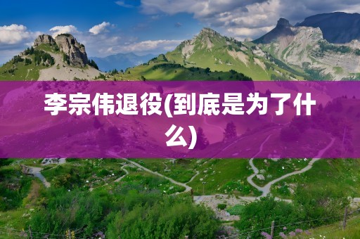 李宗伟退役(到底是为了什么)