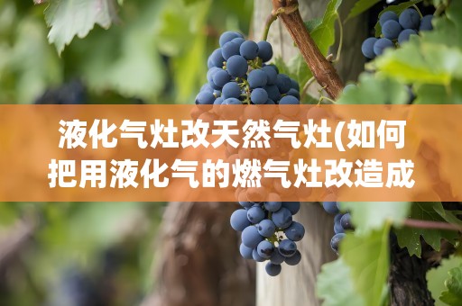 液化气灶改天然气灶(如何把用液化气的燃气灶改造成用天然气的)