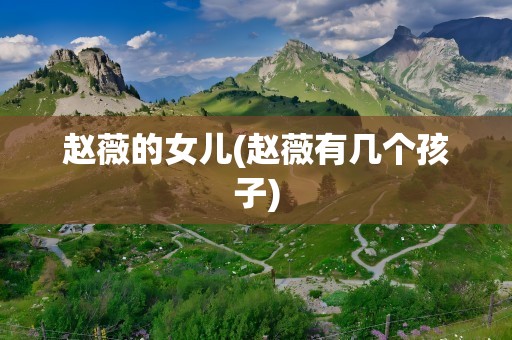 赵薇的女儿(赵薇有几个孩子)