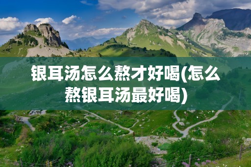 银耳汤怎么熬才好喝(怎么熬银耳汤最好喝)