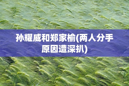孙耀威和郑家榆(两人分手原因遭深扒)