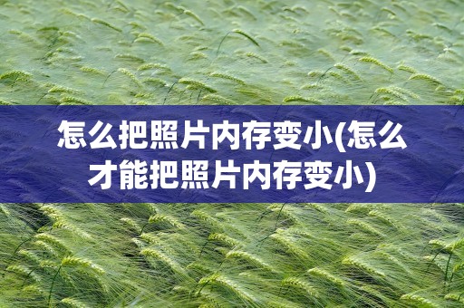 怎么把照片内存变小(怎么才能把照片内存变小)