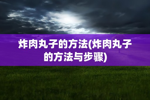 炸肉丸子的方法(炸肉丸子的方法与步骤)