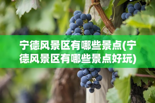 宁德风景区有哪些景点(宁德风景区有哪些景点好玩)