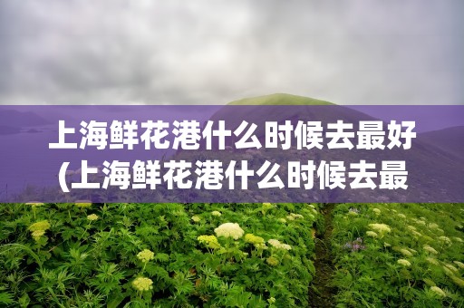 上海鲜花港什么时候去最好(上海鲜花港什么时候去最好玩)