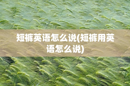 短裤英语怎么说(短裤用英语怎么说)