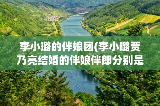 李小璐的伴娘团(李小璐贾乃亮结婚的伴娘伴郎分别是谁要准确的!!!)