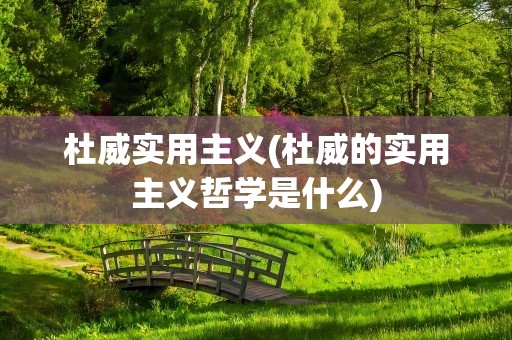杜威实用主义(杜威的实用主义哲学是什么)