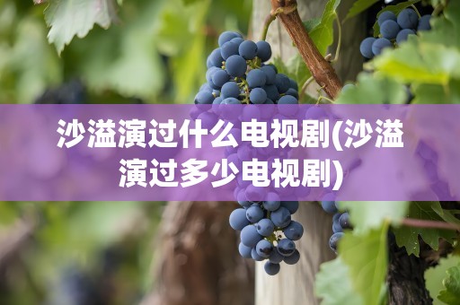 沙溢演过什么电视剧(沙溢演过多少电视剧)
