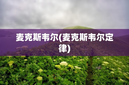 麦克斯韦尔(麦克斯韦尔定律)