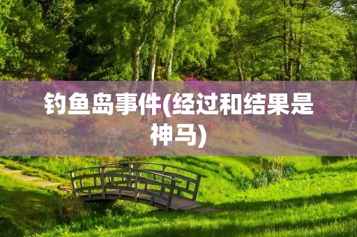 钓鱼岛事件(经过和结果是神马)