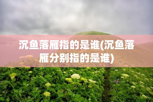 沉鱼落雁指的是谁(沉鱼落雁分别指的是谁)