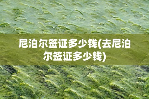尼泊尔签证多少钱(去尼泊尔签证多少钱)