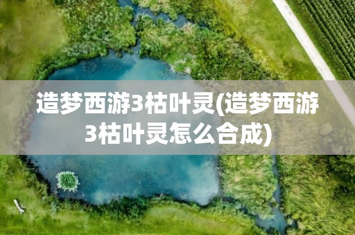 造梦西游3枯叶灵(造梦西游3枯叶灵怎么合成)