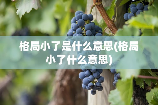 格局小了是什么意思(格局小了什么意思)