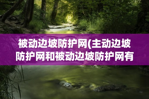 被动边坡防护网(主动边坡防护网和被动边坡防护网有什么区别)