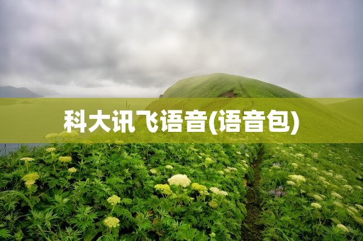 科大讯飞语音(语音包)