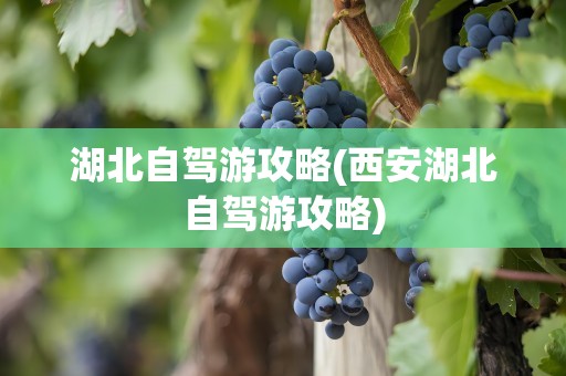 湖北自驾游攻略(西安湖北自驾游攻略)