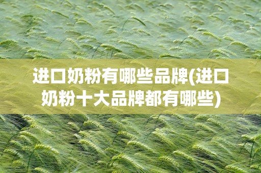 进口奶粉有哪些品牌(进口奶粉十大品牌都有哪些)
