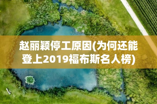 赵丽颖停工原因(为何还能登上2019福布斯名人榜)