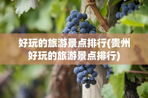 好玩的旅游景点排行(贵州好玩的旅游景点排行)