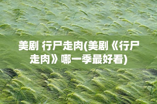 美剧 行尸走肉(美剧《行尸走肉》哪一季最好看)