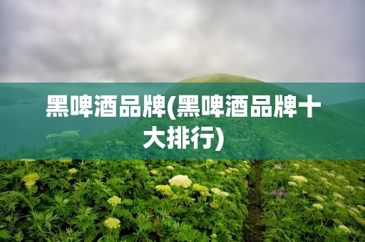 黑啤酒品牌(黑啤酒品牌十大排行)