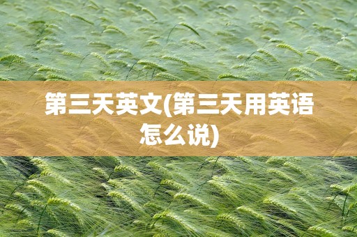 第三天英文(第三天用英语怎么说)