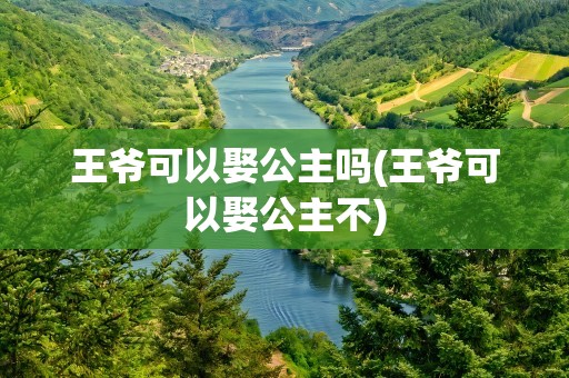 王爷可以娶公主吗(王爷可以娶公主不)