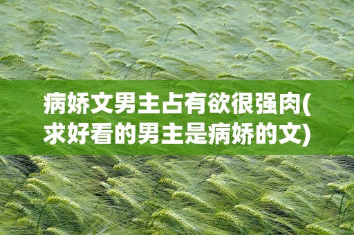 病娇文男主占有欲很强肉(求好看的男主是病娇的文)