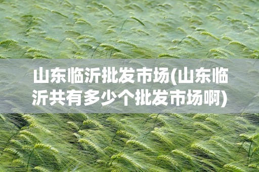 山东临沂批发市场(山东临沂共有多少个批发市场啊)