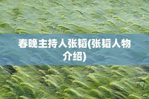 春晚主持人张韬(张韬人物介绍)