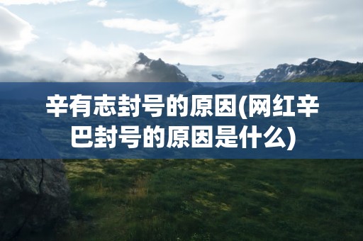 辛有志封号的原因(网红辛巴封号的原因是什么)