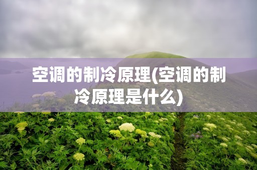 空调的制冷原理(空调的制冷原理是什么)