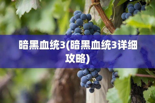 暗黑血统3(暗黑血统3详细攻略)