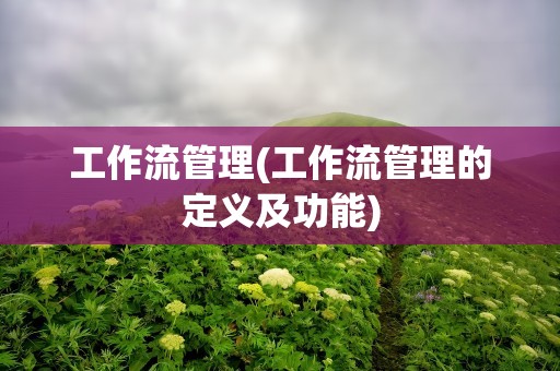 工作流管理(工作流管理的定义及功能)