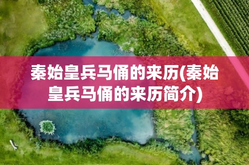 秦始皇兵马俑的来历(秦始皇兵马俑的来历简介)