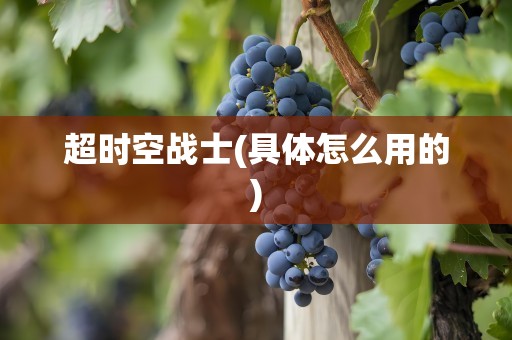 超时空战士(具体怎么用的)