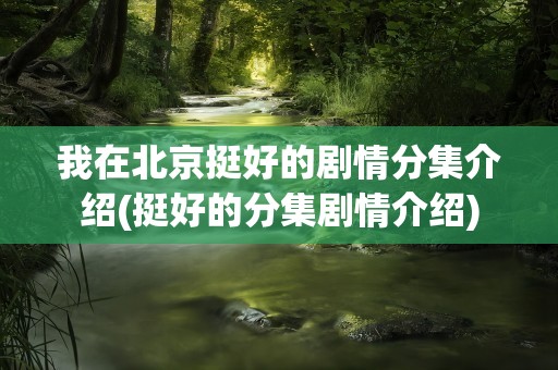 我在北京挺好的剧情分集介绍(挺好的分集剧情介绍)