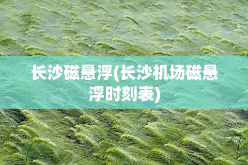长沙磁悬浮(长沙机场磁悬浮时刻表)