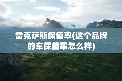 雷克萨斯保值率(这个品牌的车保值率怎么样)