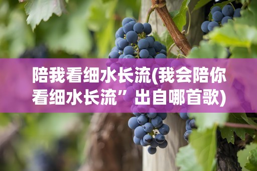 陪我看细水长流(我会陪你看细水长流”出自哪首歌)