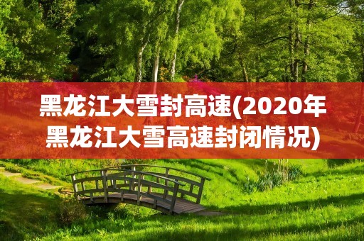 黑龙江大雪封高速(2020年黑龙江大雪高速封闭情况)