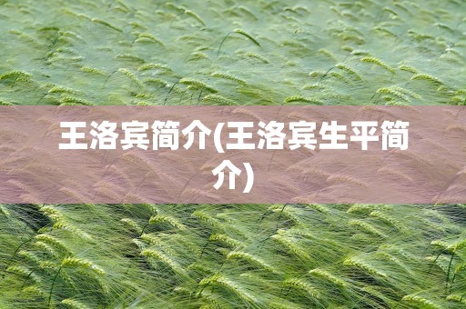 王洛宾简介(王洛宾生平简介)